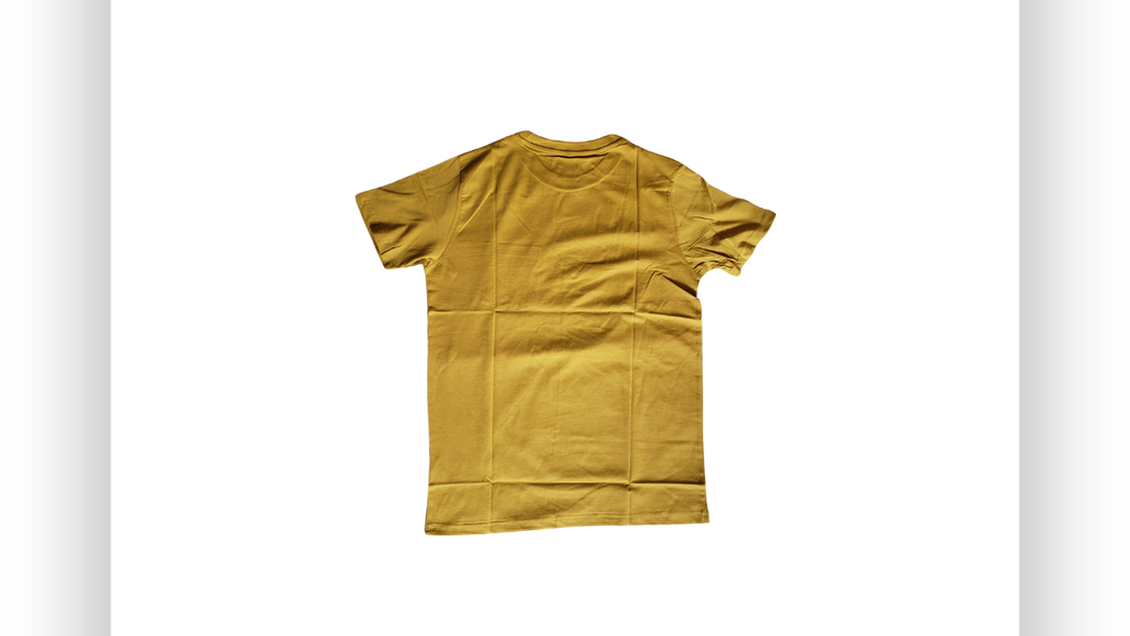 16.webp